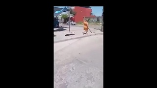 Machete Betty Threatens Pole Worker