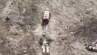 Bandera Nazi got raped by Russian drone