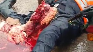 traffic officer crushed in horrible agony