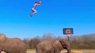 Man jumps over 2 elephants and slam dunks