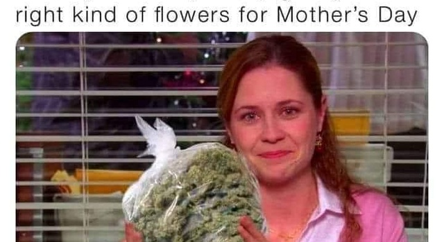 My Kind Of Flowers