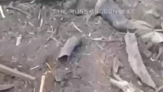 Battlefield littered with dead Ukranians