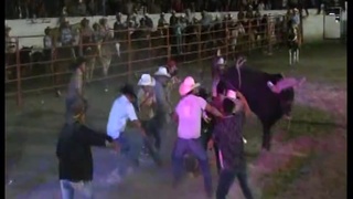 Centaur was destroyed by a bull