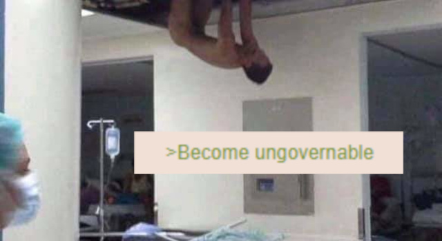 Become Ungovernable
