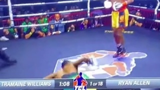 Boxer suffers seizure despite not being hit