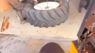 Big Tyre