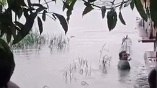 Croc Drags Woman Away