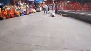 Tree branch falls from sky onto Indian lady .