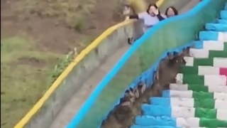 A rough ride down the slide