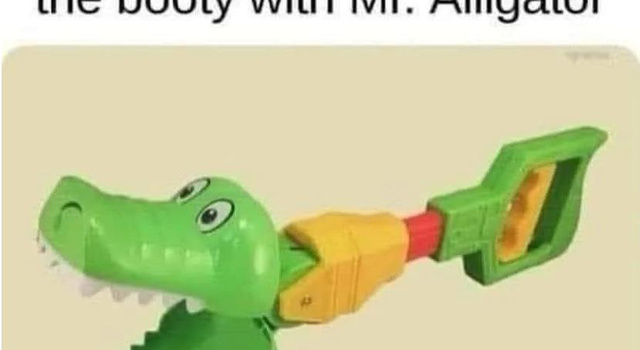 Oh Mr Alligator