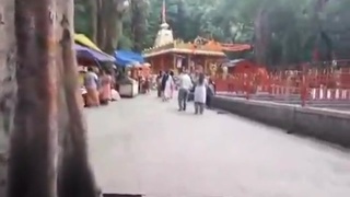 Woman Visiting Temple Struck by Falling Branch