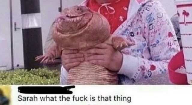 What is that thing?
