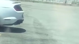 Police Car Strikes Suspect with Hands in Air