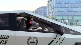 Dubai police