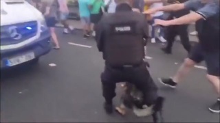 Police Dog Bites Protestor