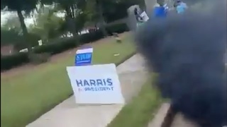 Supporters of the Harris/Walz ticket get smoked