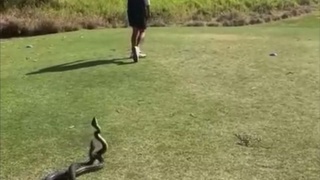 Australian back nine