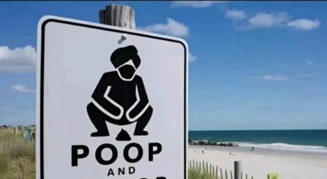 pooping at the beach