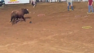 The Bull decides who to take out