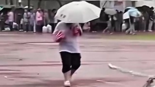 Umbrella