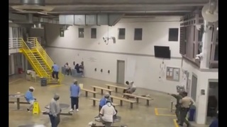 Prison Fight