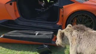 Customer helps himself to the food truck