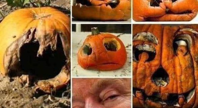 rotting pumpkin