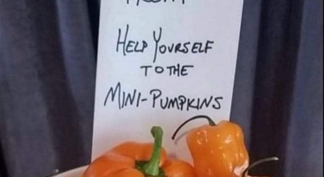 The Mini Peppers