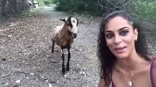 Lady and the goat