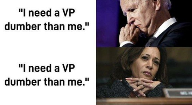 I need a VP