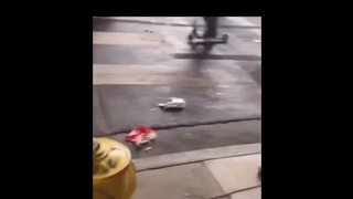 Baseball fan blows his hands off