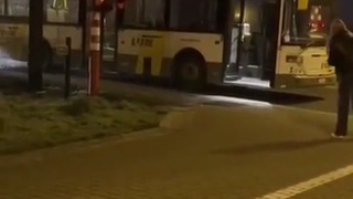 Train + Bus