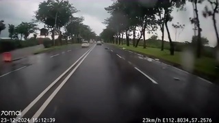A driver causes much havoc
