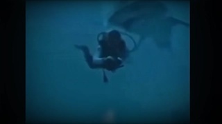 Shark bites off  a divers ear (and lobe)Animals HATE us