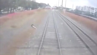 Florida Train