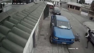 @Ecuador
