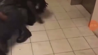 The usual suspects fight at a place of business