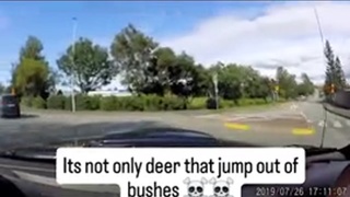 its not only deer