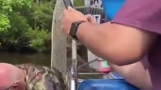 Gator bite