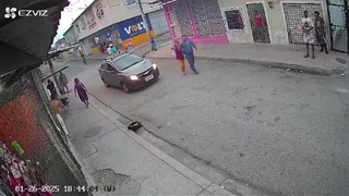 Good dog vs thieves