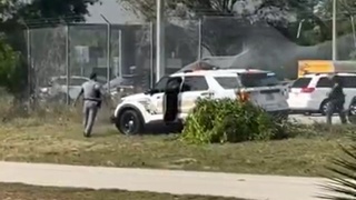 Carjacker Upended by Police Cruiser in Florida After Wild Chase