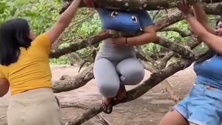 She Did That On Dolphin