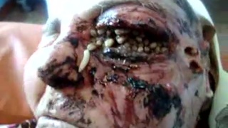 Never Fall Asleep If you hav Flies in the Room