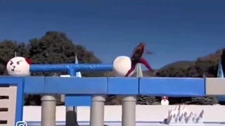 WTF