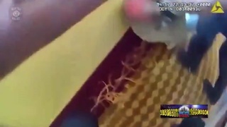 Pew pew pew