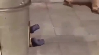 Bunch of Idiots having a SD
