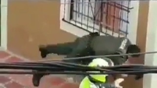 Escape technique ...