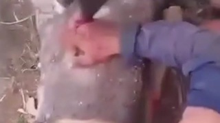 A Man's Fingers Are Chopped Off With An Axe As A Warning To All Robbers