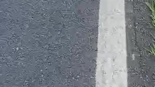 Leg Off dick out