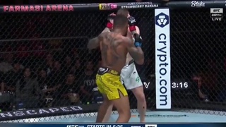 UFC Leg Injury